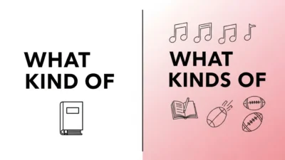 What Kind of vs What Kinds of