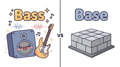 Bass vs Base